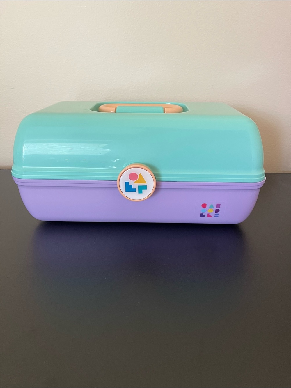 Colorful Pastel Storage Case - Mint & Lavender